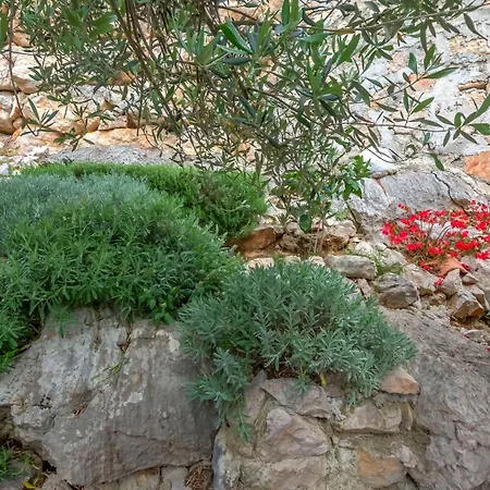 דירה Mladen דראגה