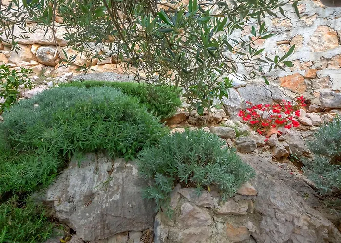 Διαμέρισμα Mladen Drage